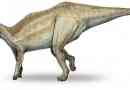 Shandonosaur